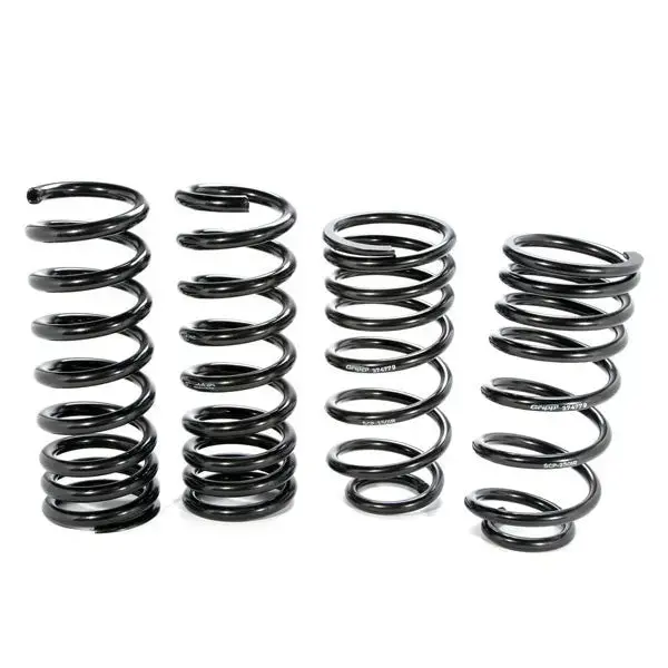 Bbk Mustang V8 Lowering Coil Springs 79-04 1