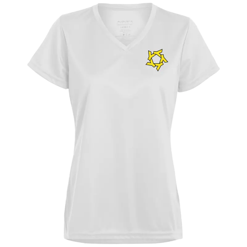 Ysr Ladies’ Moisture-Wicking V-Neck Tee 1